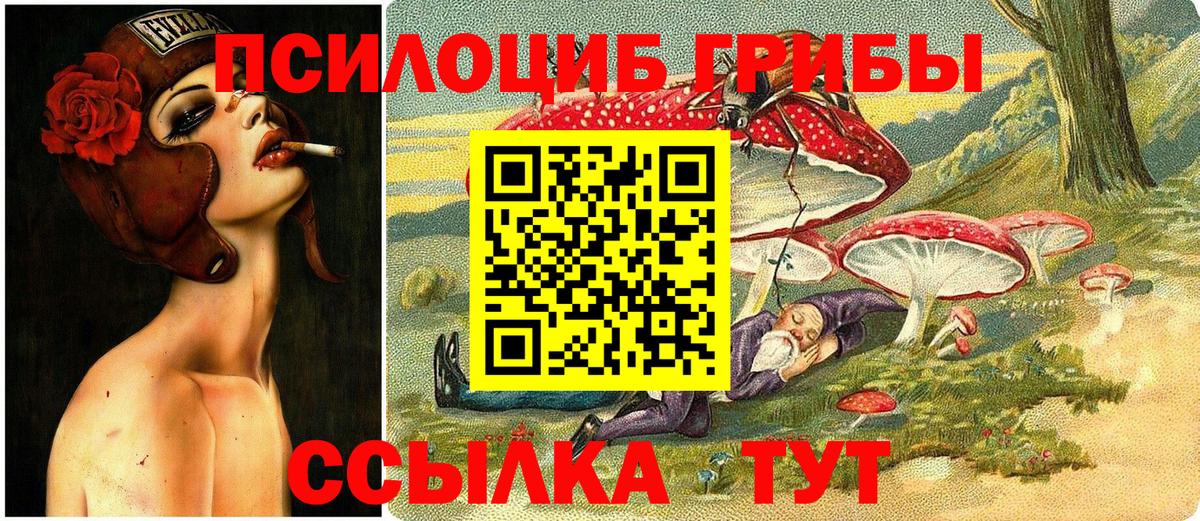 Псилоцибиновые грибы Cubensis Жуковский